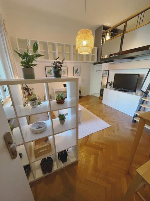 Appartamento Stefanka Old Town